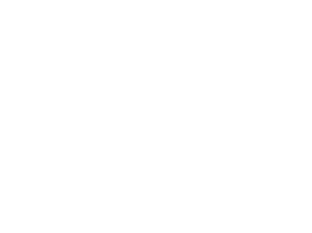 Dog on the Table